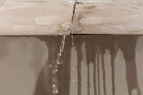 Professional Water Damage Restoration technician working in Bruno, MN